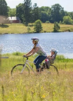 Siège Porte-bébé Vélo Arrière - Hamax